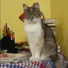 Отзыв от Клара Гуляева